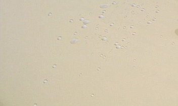 Скатерть 145*145 см. молоко гладь /3/ Под заказ